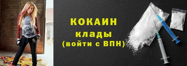 сатива Сатка
