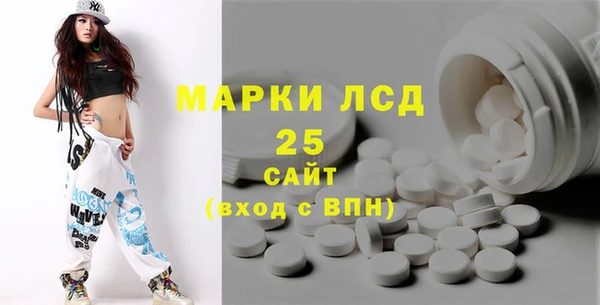 сатива Сатка