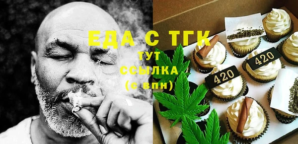 индика Алексин