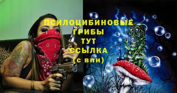 индика Алексин