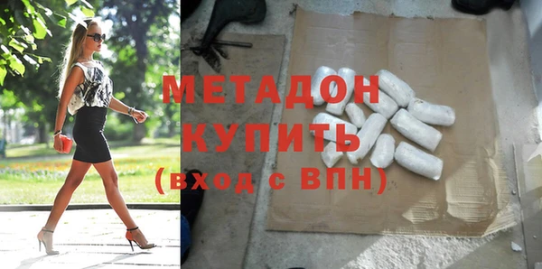 индика Алексин
