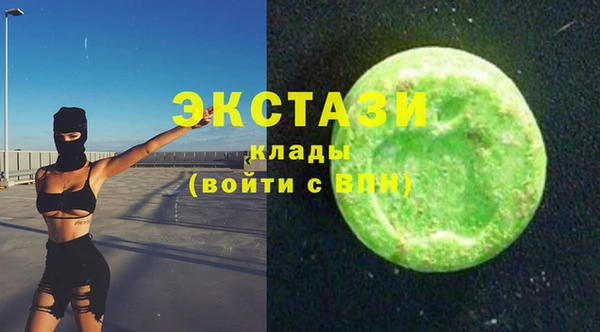 индика Алексин